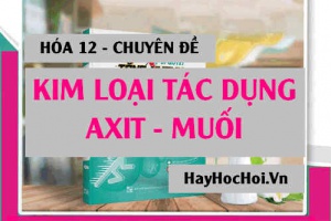 Bài tập Kim loại tác dụng với Axit, Muối và Cách giải - Hóa 12 chuyên đề
